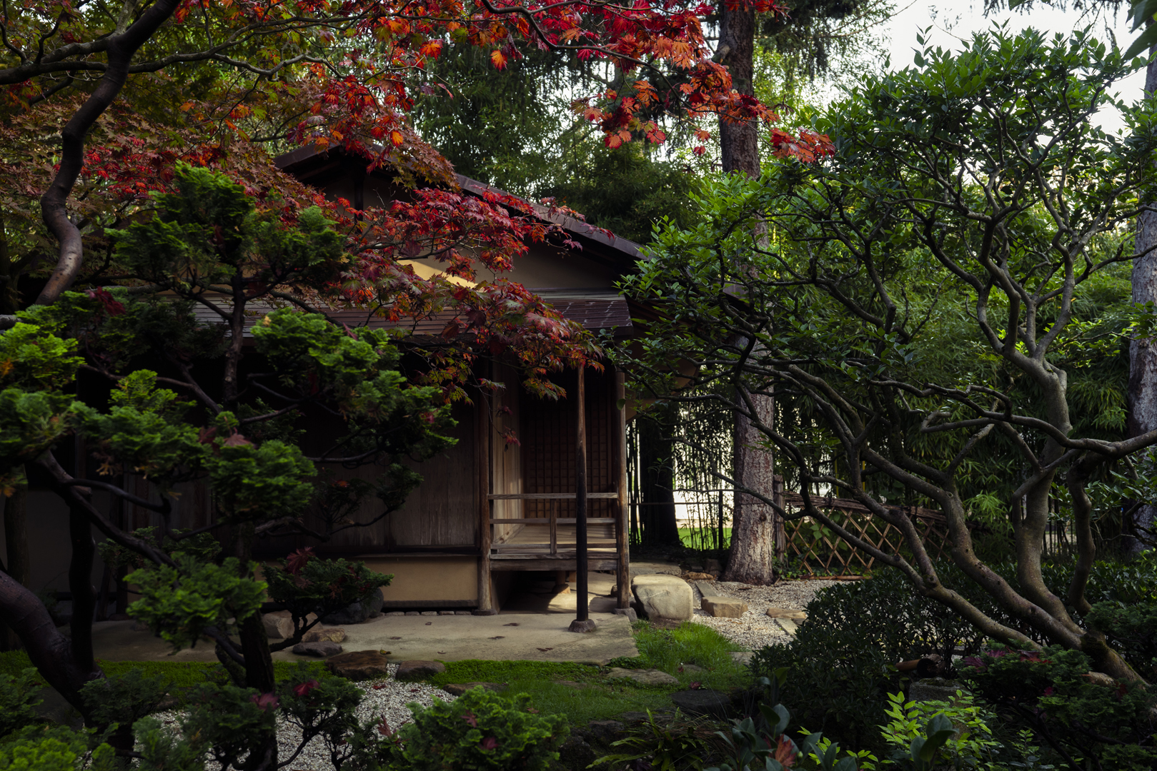 Seiyuan - Albert Kahn Garden