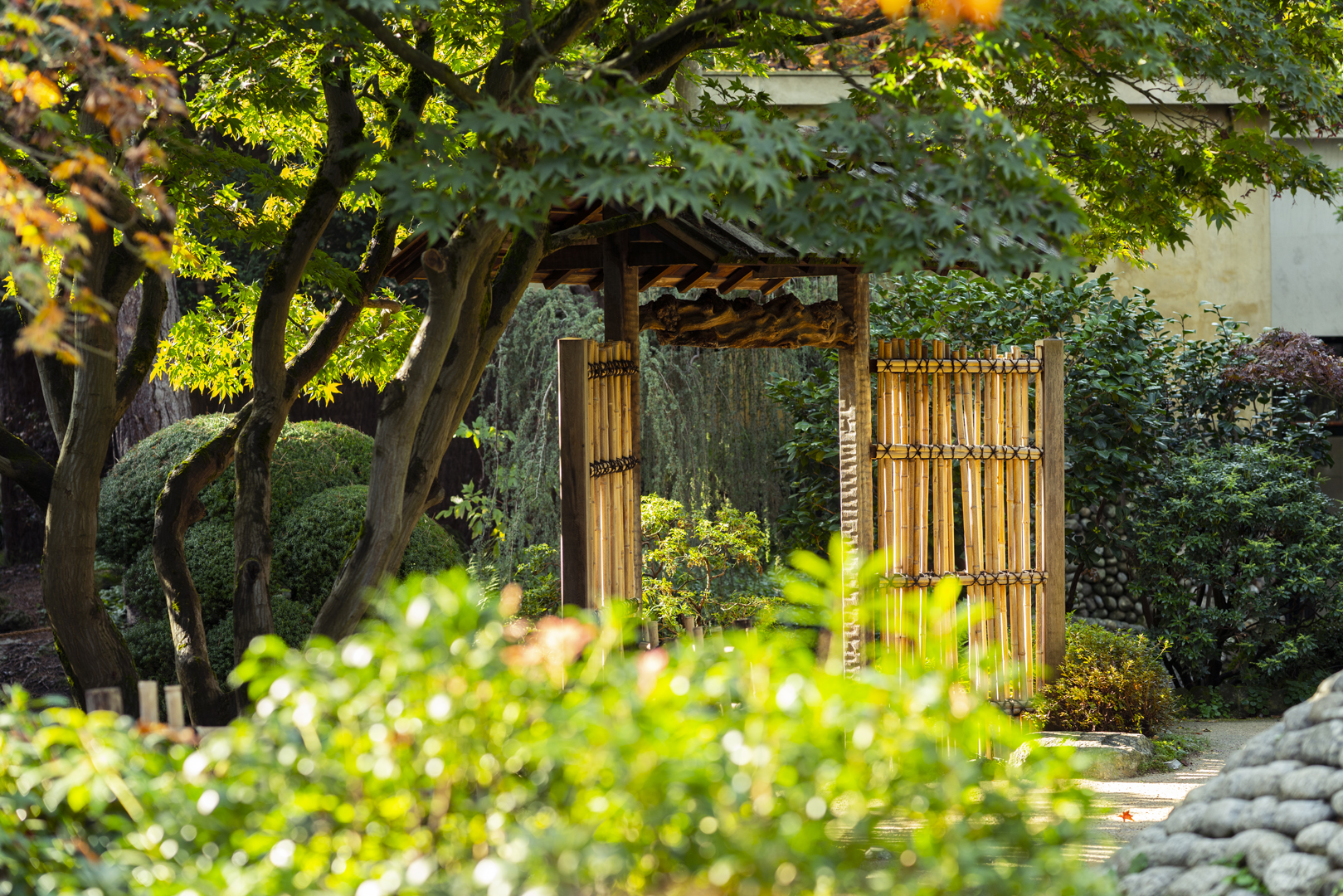 Seiyuan - Albert Kahn Garden