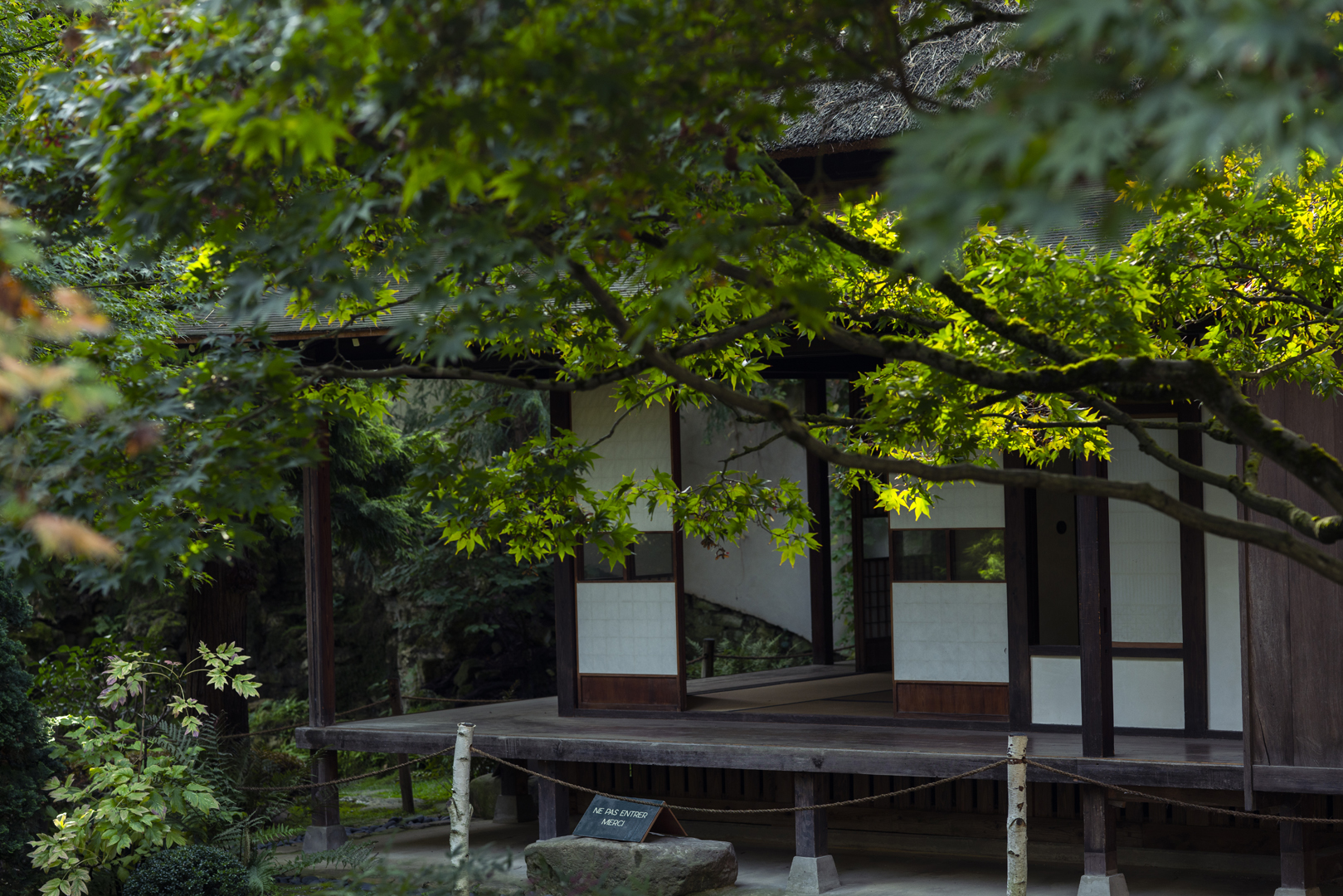 Seiyuan - Albert Kahn Garden