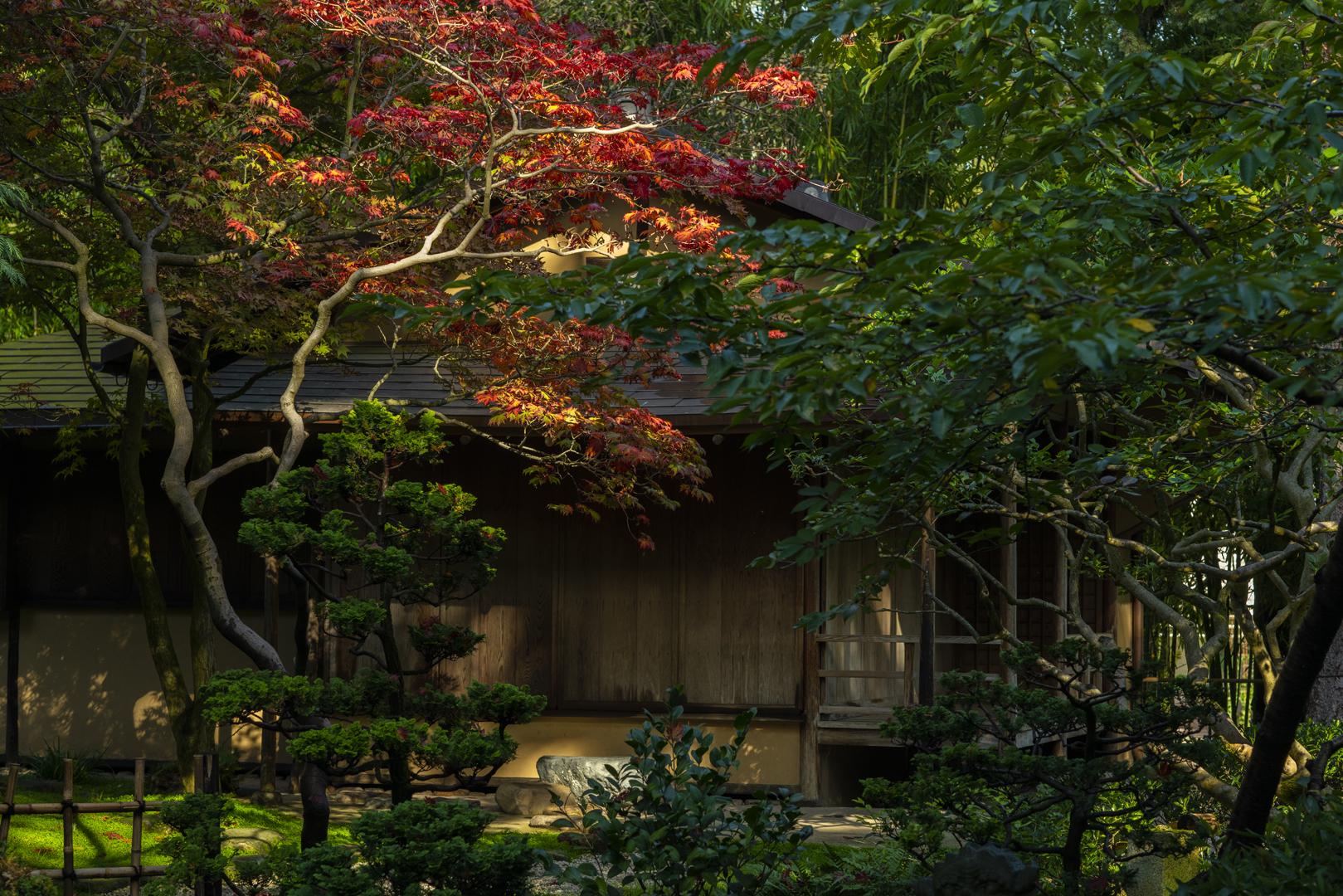 Seiyuan - Albert Kahn Garden